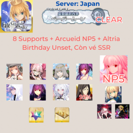 FGO JP 24 - Arcueid NP5