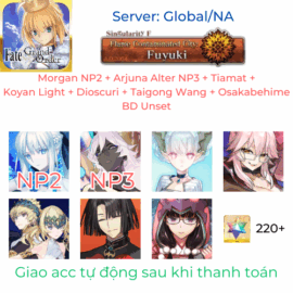 fgona-mog-404