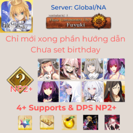 NA 4+ supports & DPS NP2+