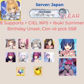 FGO JP 13 - C.I.E.L NP5