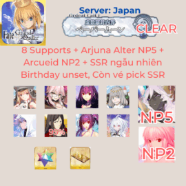 FGO JP 7 - Arjuna Alter NP5