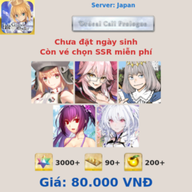 FGO JP 22 - 5 supports 3000SQ+